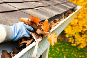 Gutter Cleaning